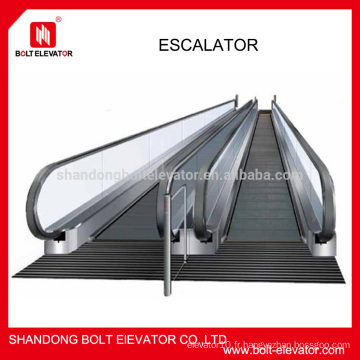 BOLT Indoor &amp; Outdoor 600mm Escaladeuse de passager